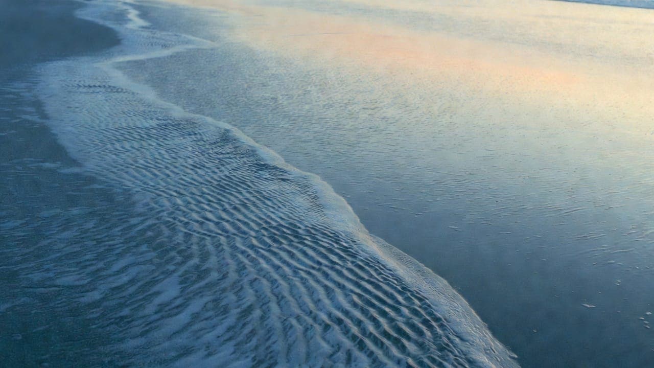 Tide