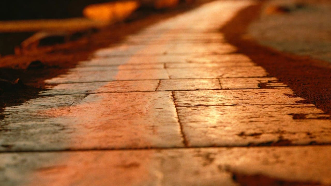 The Warm way — Amber